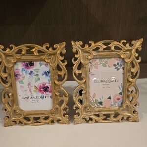 Set of 2 Cynthia Rowley Elegant Gold Picture Frames